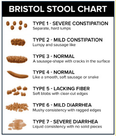 Bristol Stool Chart